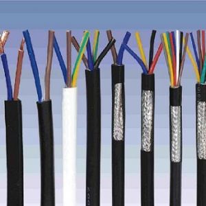 ������|����|���N��е�һ�N��ʲô�ǿ�����|��